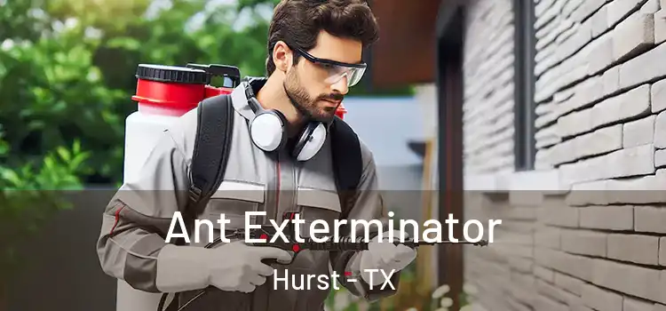 Ant Exterminator Hurst - TX