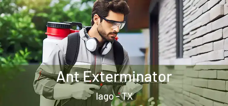  Ant Exterminator Iago - TX