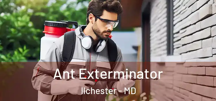  Ant Exterminator Ilchester - MD