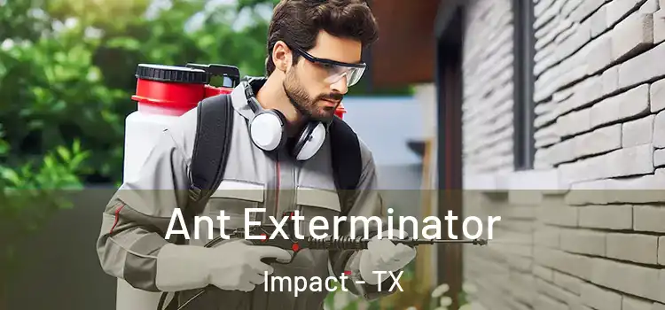  Ant Exterminator Impact - TX