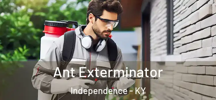  Ant Exterminator Independence - KY