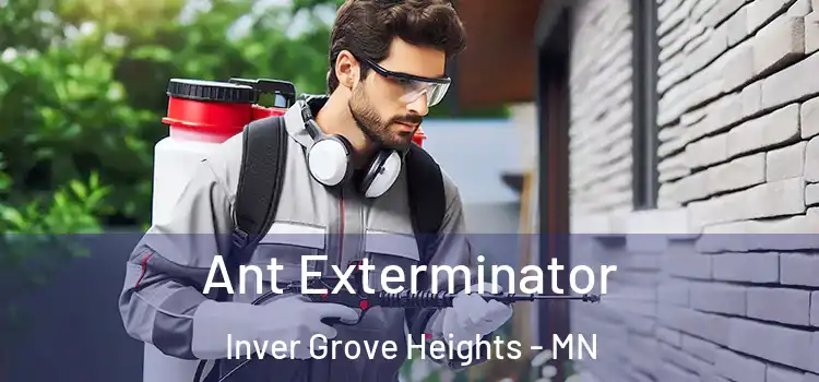  Ant Exterminator Inver Grove Heights - MN