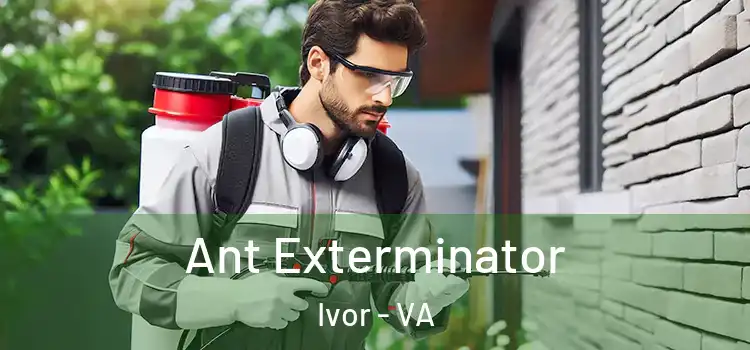 Ant Exterminator Ivor - VA