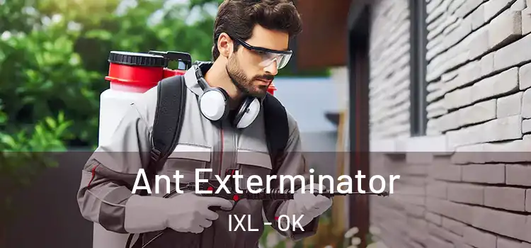  Ant Exterminator IXL - OK
