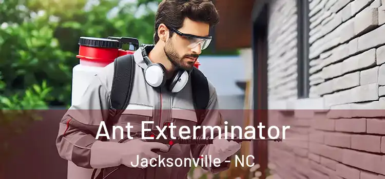 Ant Exterminator Jacksonville - NC