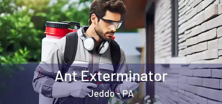 Ant Exterminator Jeddo - PA