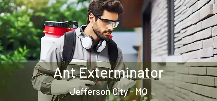  Ant Exterminator Jefferson City - MO
