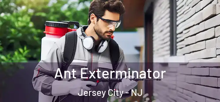 Ant Exterminator Jersey City - NJ