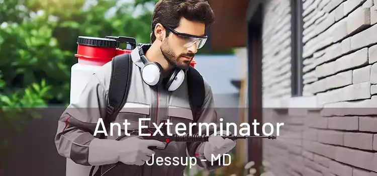  Ant Exterminator Jessup - MD