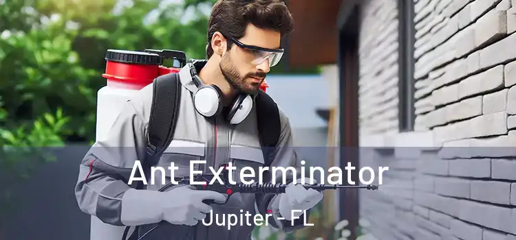 Ant Exterminator Jupiter - FL