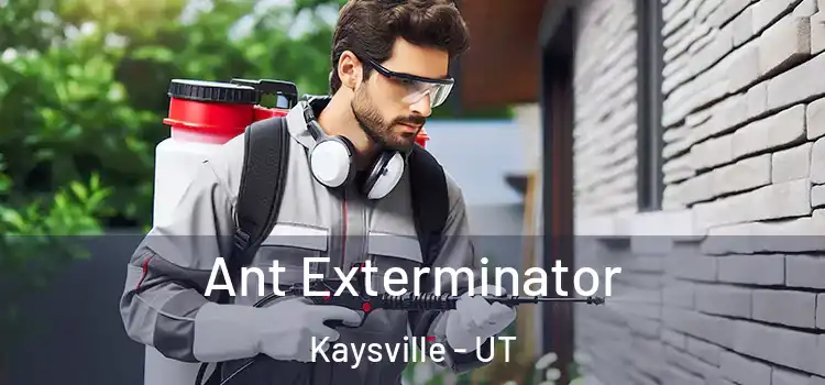  Ant Exterminator Kaysville - UT