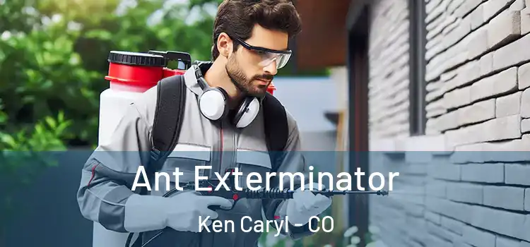 Ant Exterminator Ken Caryl - CO