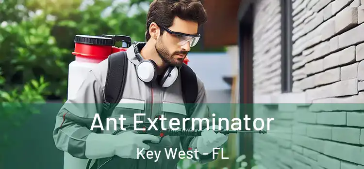 Ant Exterminator Key West - FL