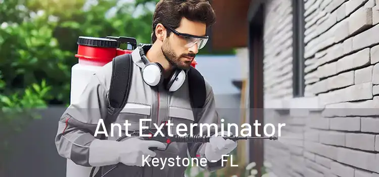  Ant Exterminator Keystone - FL
