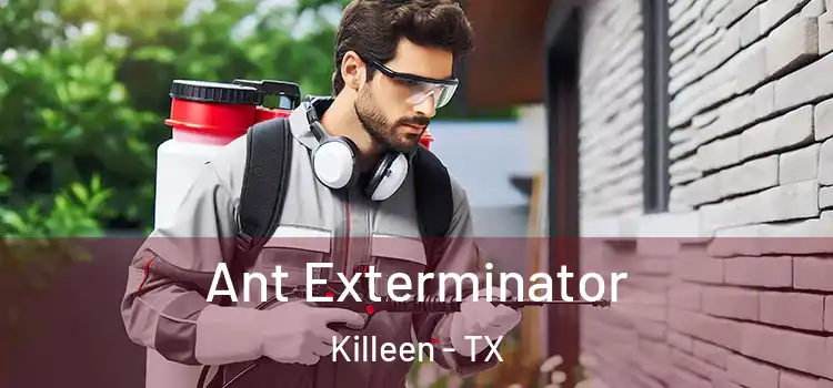 Ant Exterminator Killeen - TX