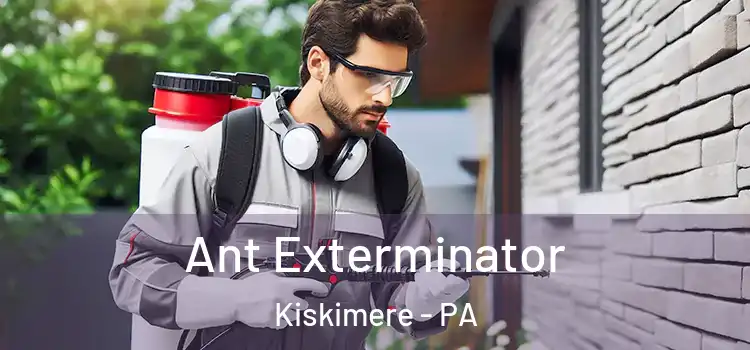 Ant Exterminator Kiskimere - PA