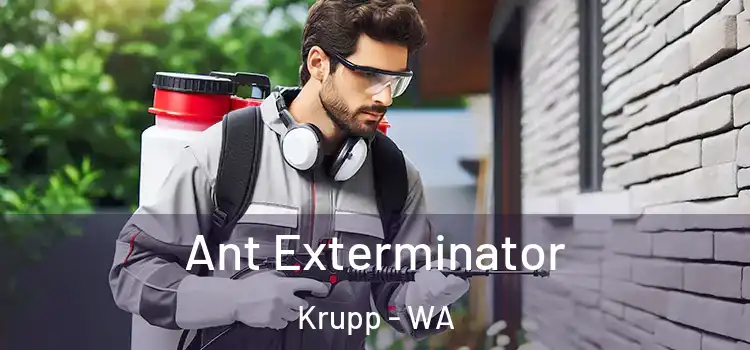  Ant Exterminator Krupp - WA