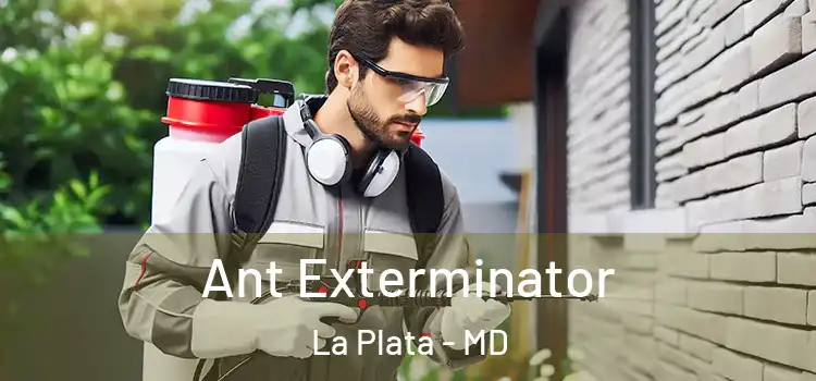  Ant Exterminator La Plata - MD
