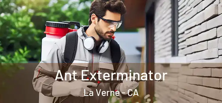 Ant Exterminator La Verne - CA