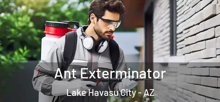  Ant Exterminator Lake Havasu City - AZ