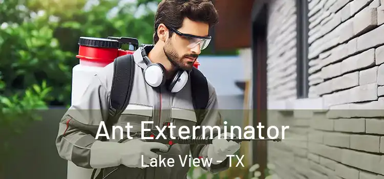  Ant Exterminator Lake View - TX