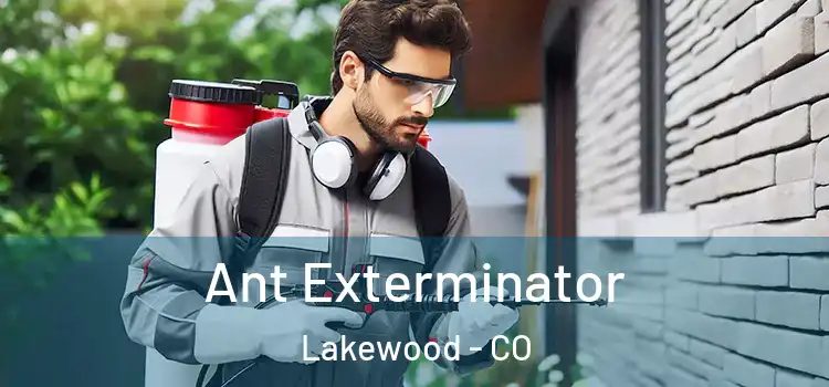 Ant Exterminator Lakewood - CO