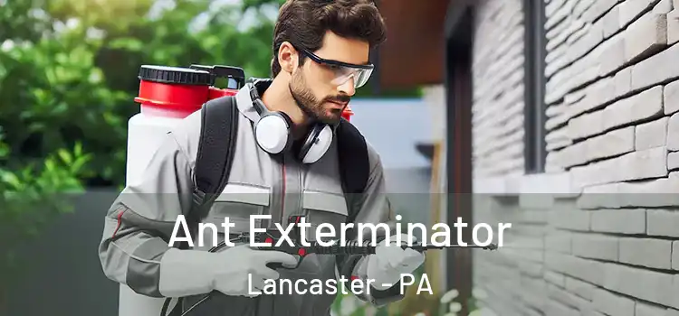  Ant Exterminator Lancaster - PA