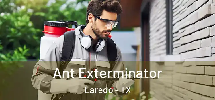 Ant Exterminator Laredo - TX