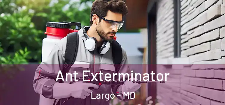 Ant Exterminator Largo - MD