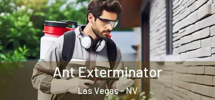  Ant Exterminator Las Vegas - NV