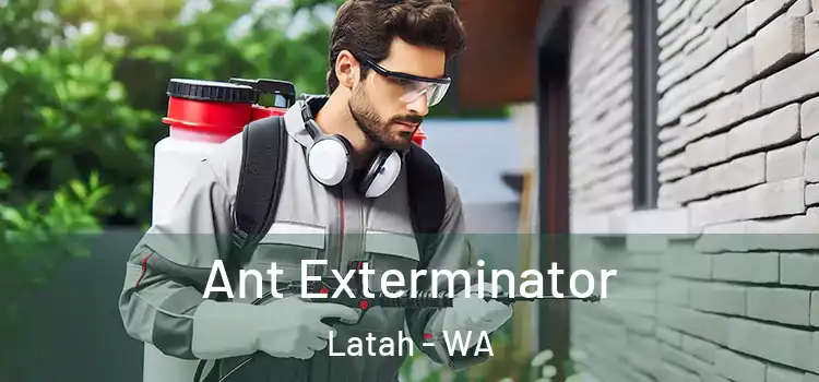 Ant Exterminator Latah - WA