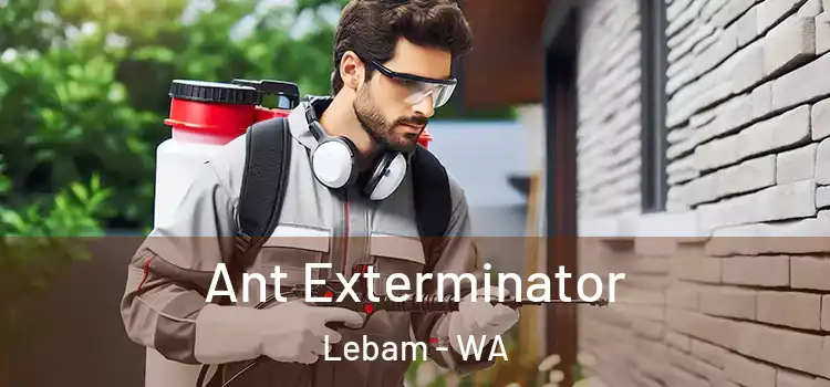  Ant Exterminator Lebam - WA