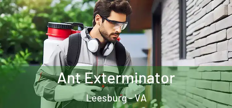  Ant Exterminator Leesburg - VA