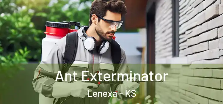  Ant Exterminator Lenexa - KS