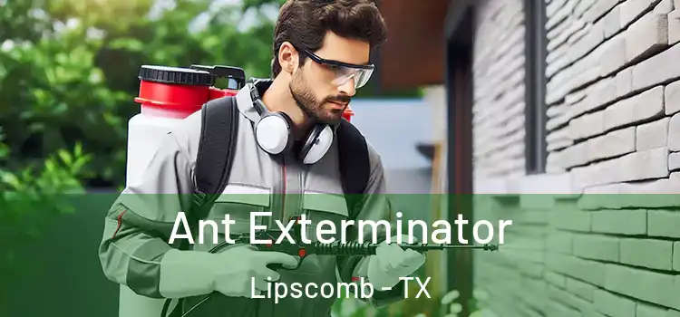  Ant Exterminator Lipscomb - TX