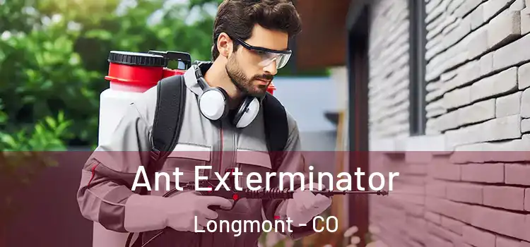 Ant Exterminator Longmont - CO