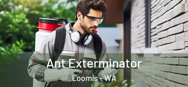  Ant Exterminator Loomis - WA
