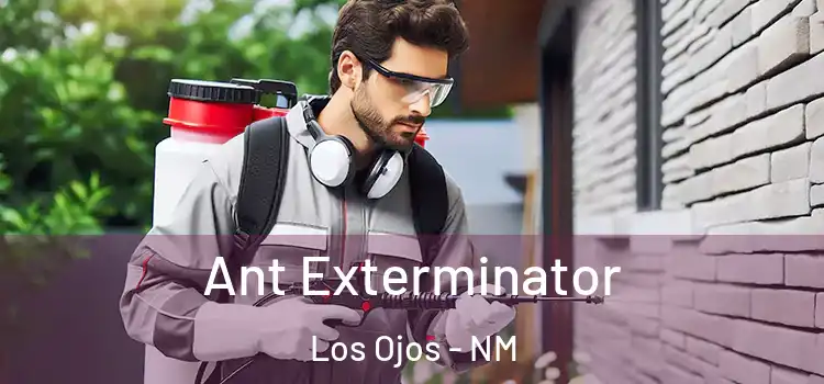 Ant Exterminator Los Ojos - NM