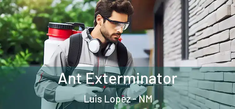 Ant Exterminator Luis Lopez - NM
