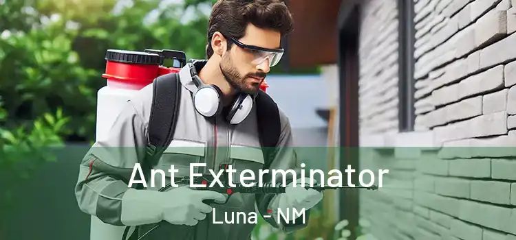 Ant Exterminator Luna - NM
