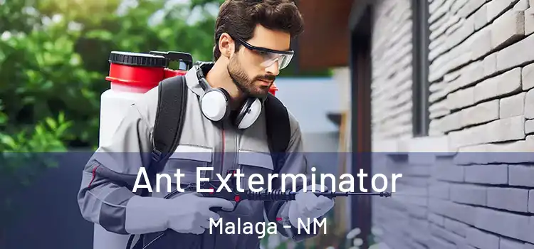 Ant Exterminator Malaga - NM