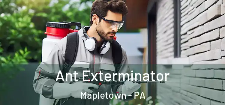 Ant Exterminator Mapletown - PA