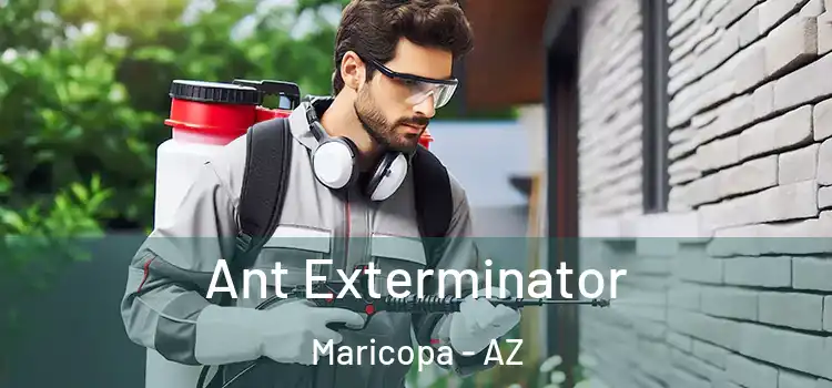 Ant Exterminator Maricopa - AZ