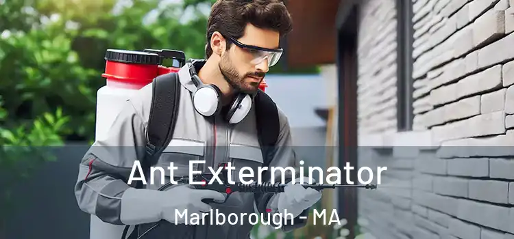  Ant Exterminator Marlborough - MA