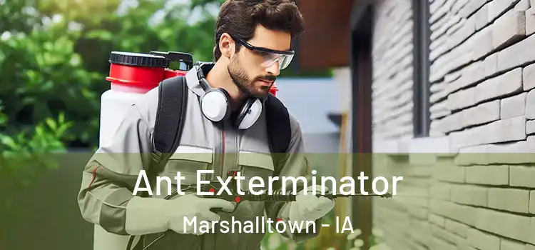 Ant Exterminator Marshalltown - IA