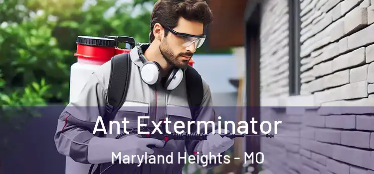  Ant Exterminator Maryland Heights - MO