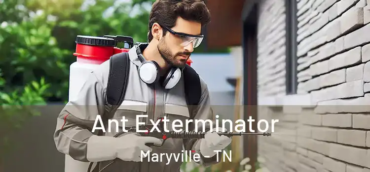  Ant Exterminator Maryville - TN