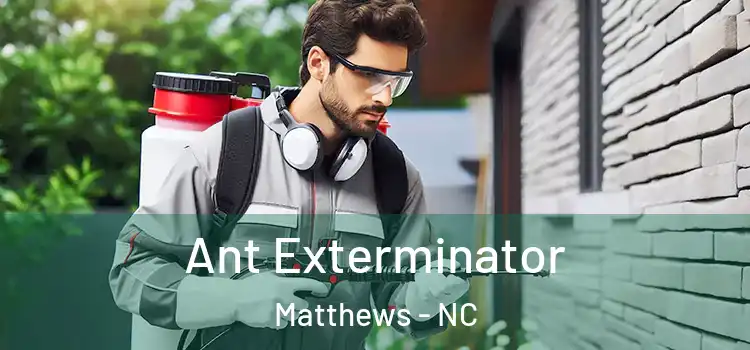 Ant Exterminator Matthews - NC