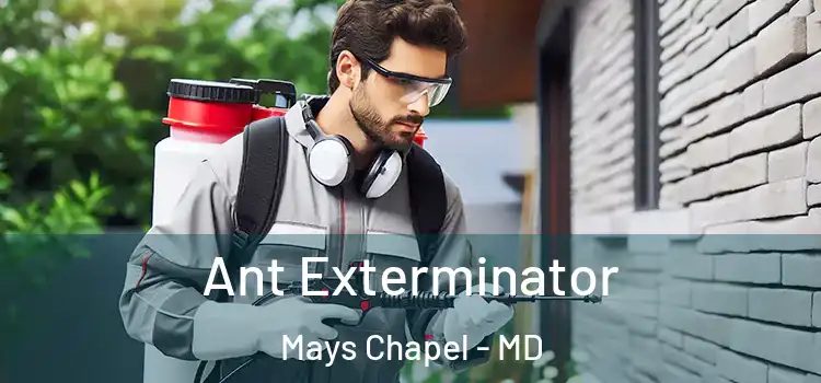  Ant Exterminator Mays Chapel - MD