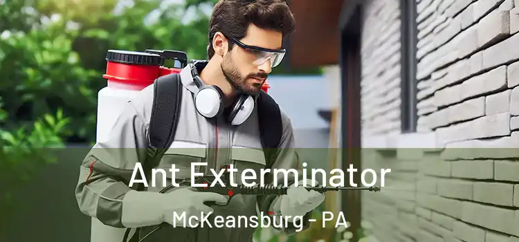  Ant Exterminator McKeansburg - PA